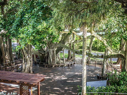 Photo from www.randomconnections.com