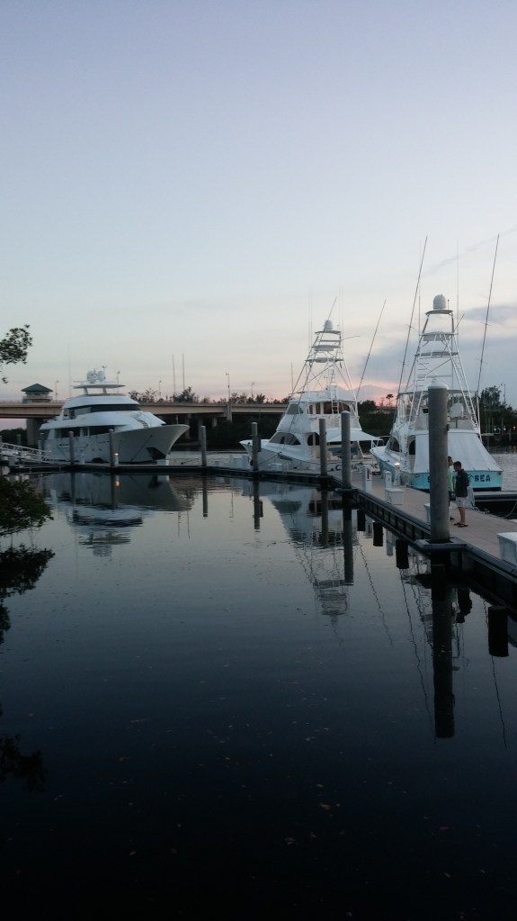Boats docked at Harbourside Place. 