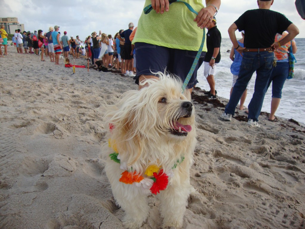 We have answered the age old question of 