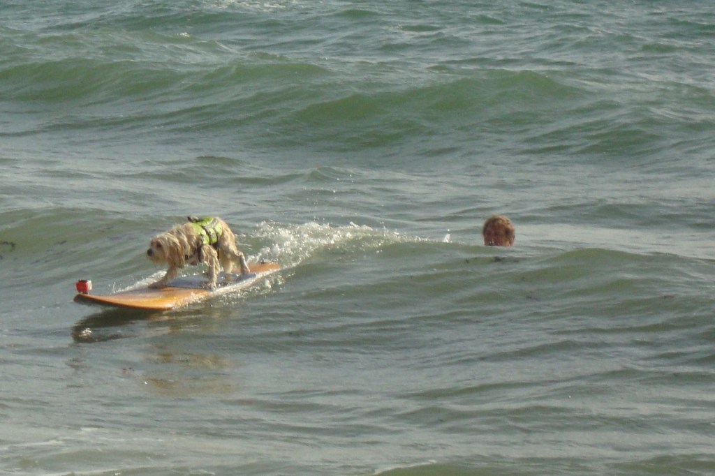 Here he goes! (Photo by Mom)