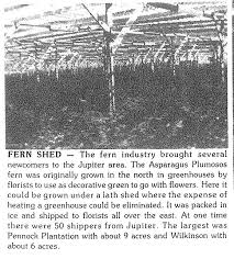 Pennock Fern Shed