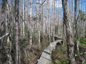 corbett-to-lucky-3-690x517